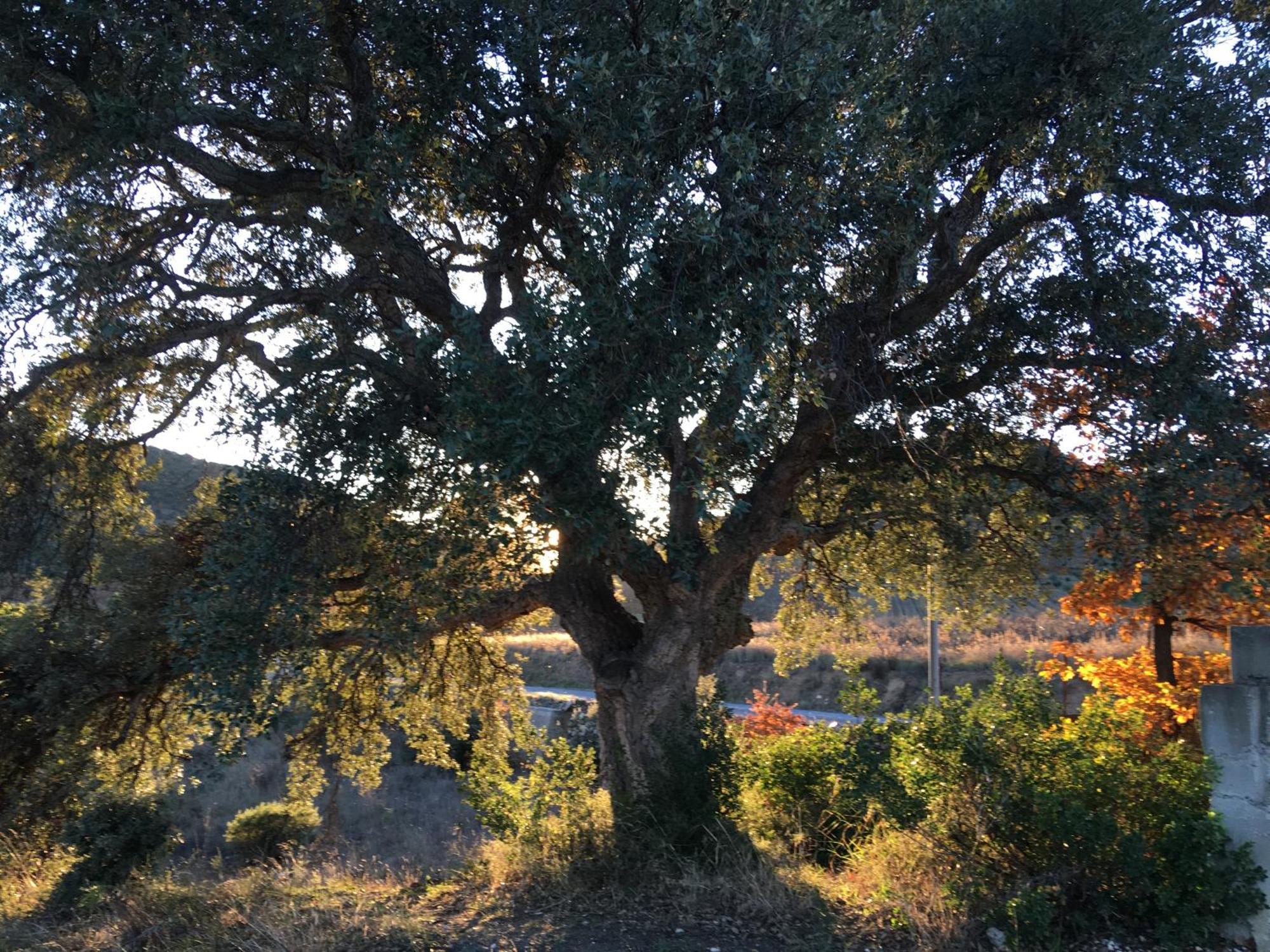 Coeur De Nature Bed & Breakfast Rasigueres Exterior photo